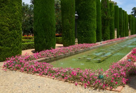 исламский сад правила растения формы