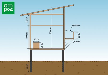 Схема Курятника Фото