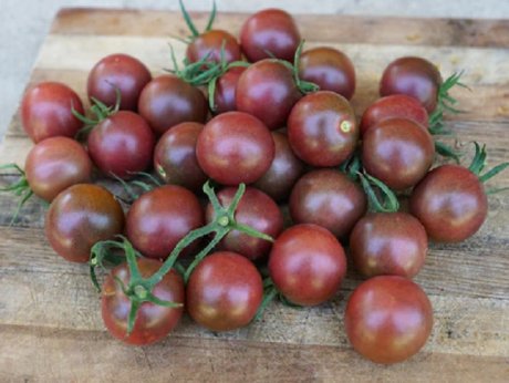 Лучшие сорта томатов черри для теплиц