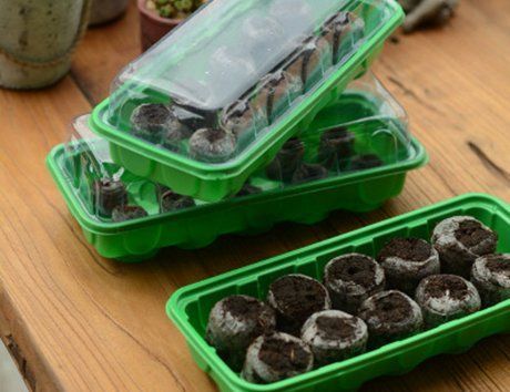 Видео как посадить семена в торфяные таблетки и как посадить рассаду огурцов в горшочки и торфяные таблетки? Достоинства и недостатки таких контейнеров, правила посадки и ухода за рассадой
