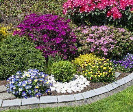 Основы цветового дизайна в саду: советы и рекомендации