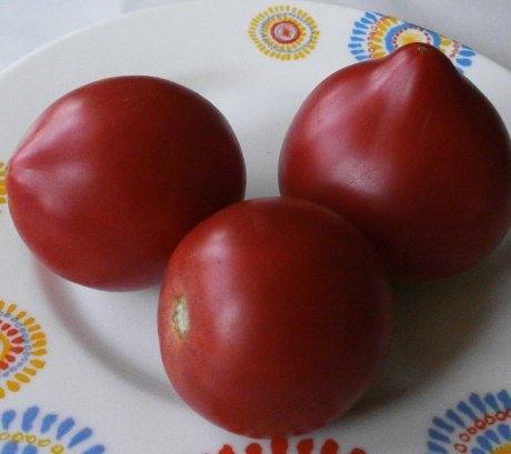 Сорта томатов серии Гном список сортов помидоров с фотографиями и отзывами