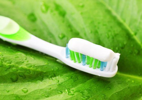 Зубная паста полезна для растения