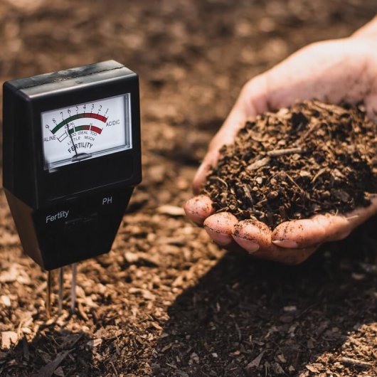 : Как определить и регулировать кислотность почвы