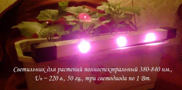светодиодный светильник для растений