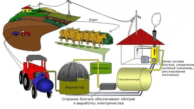 Выработка метана. Переработка навоза в биогаз схема. Биогаз схема переработки. Биогаз из отходов животноводства схема. Схема производства биогаза.