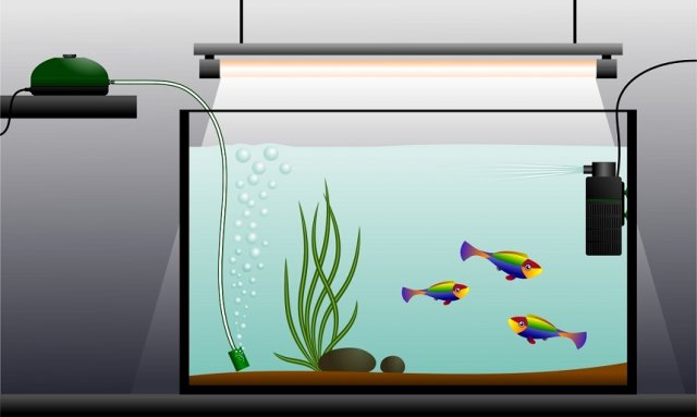 фильтр и компрессор в аквариуме