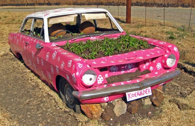машина с цветами
