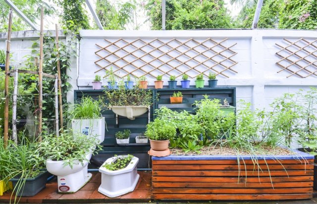 Огород на балконе: во что сажать овощи в квартире