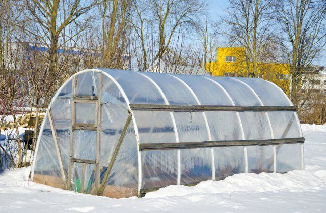 handmade polythene greenhouse for vegetable in winter time on snow