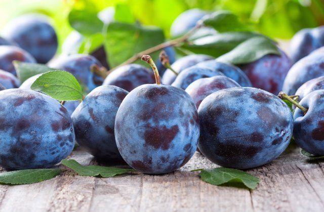 Синие сливы / fresh plums on wooden table