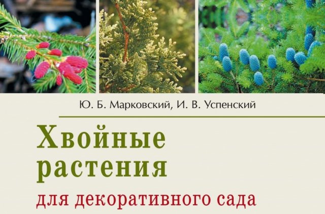 Хвойные растения для декоративного сада, Юрий Марковский