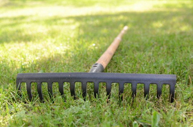 Straight garden rake