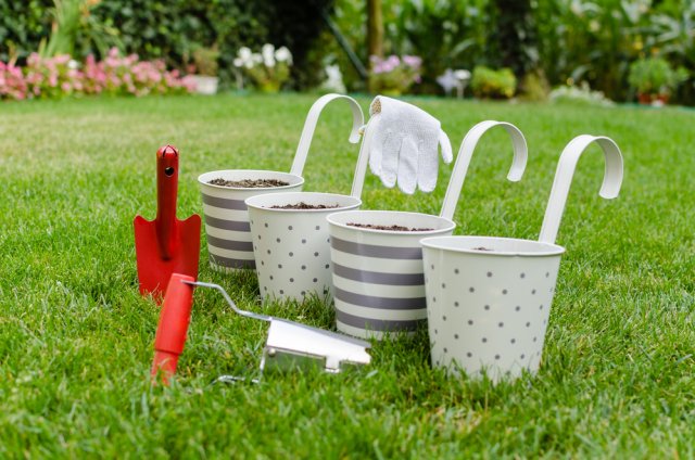 Flowerpots and garden hand tools on the green grass
