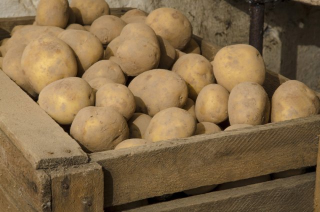 ящики для картошки