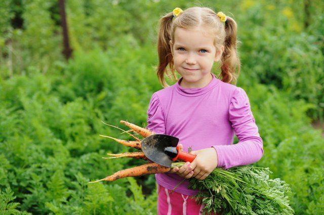 Девочка несет морковь