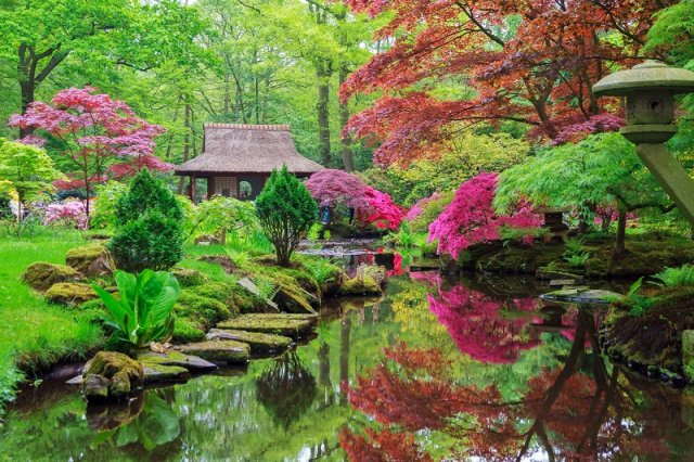 Beautiful Japanese garden in parkland Clingendael in Wassenaar, The Netherlands