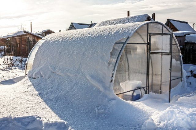 Greenhouse polycarbonate unit tunes snow. Russia, Siberia, Novosibirsk region