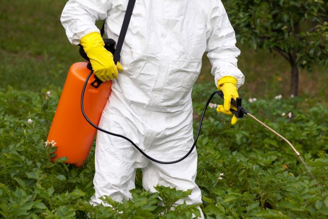 Предосторожности при работе с инсектицидами