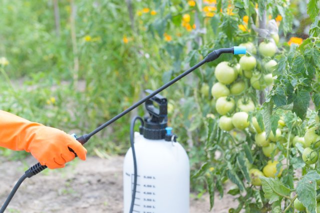 Опрыскивание пестицидами против болезней и вредителей