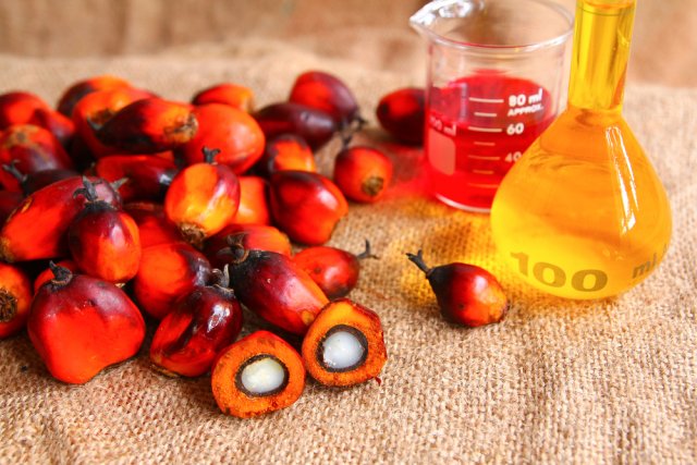 пальмовое масло вред польза мифы правда факты