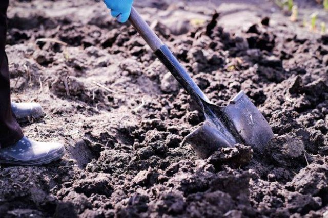 лопата копать землю