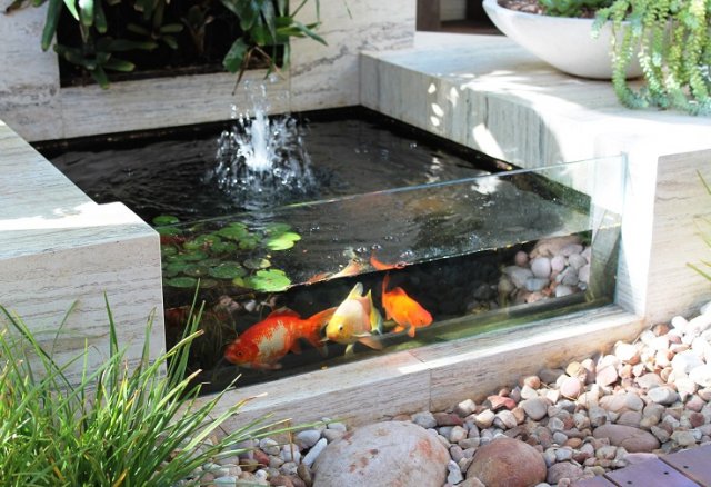 Садовый аквариум