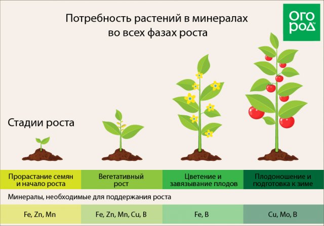 микроэлементы для растения