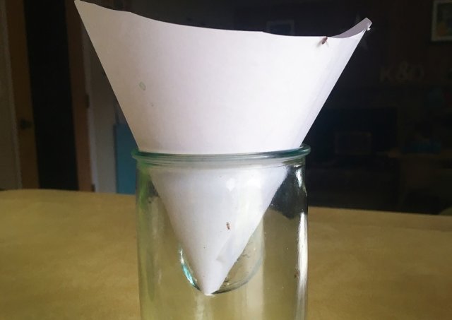 Apple cider vinegar and a paper funnel inserted into a cup are used as an at home fruit fly trap.