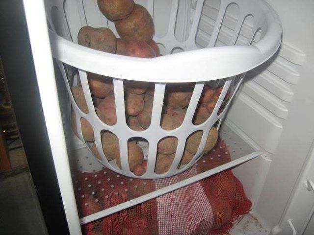 картофель в холодильнике