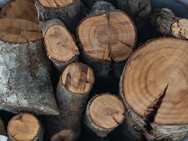 Для жарки продуктов на гриле можно самостоятельно заготовить дрова