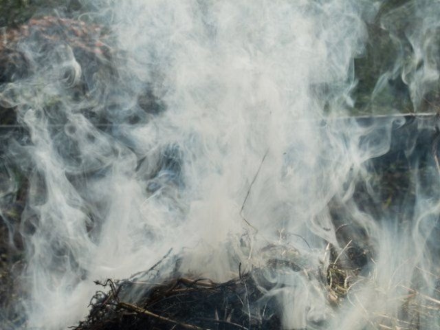 окуривание растений табачным дымом