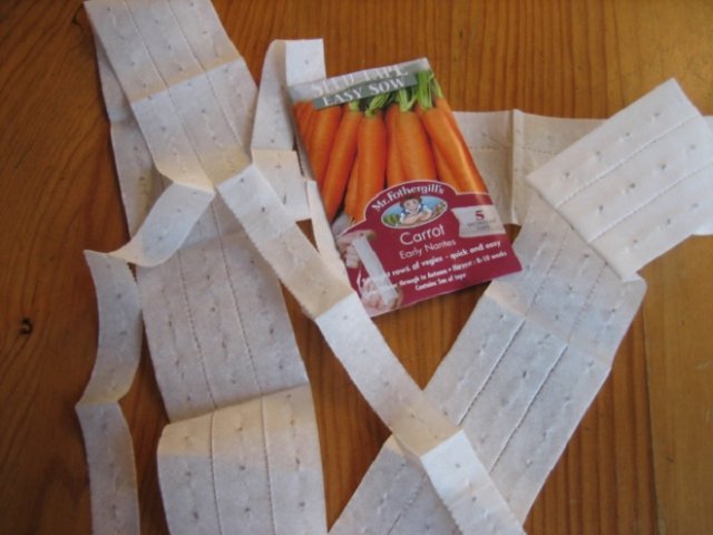 Посев моркови на туалетной бумаге