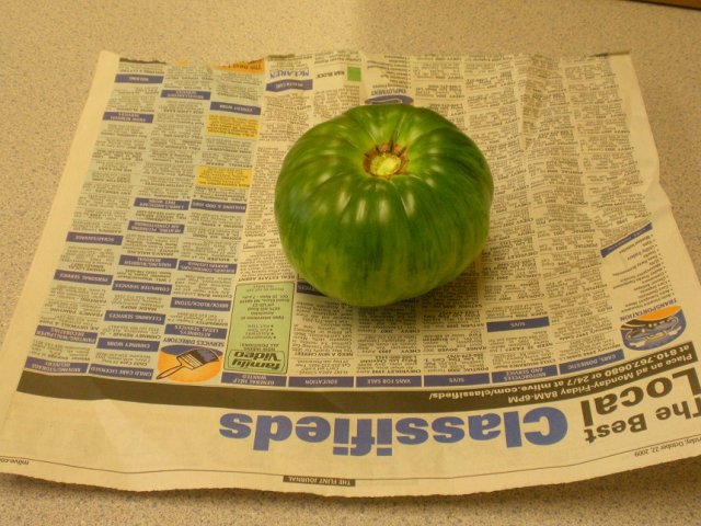 зеленый помидор на газете
