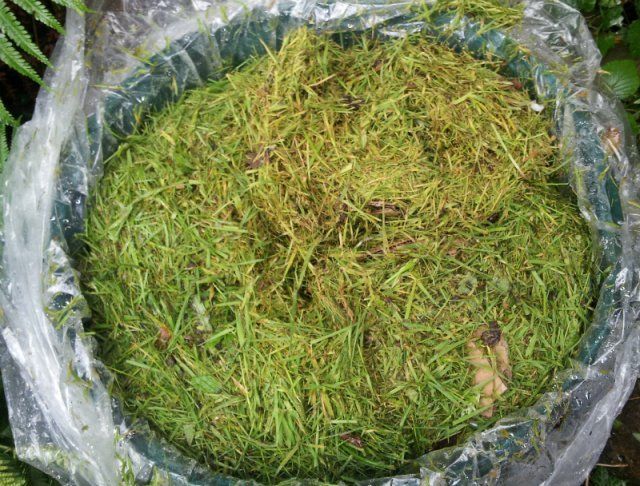 Травяной компост