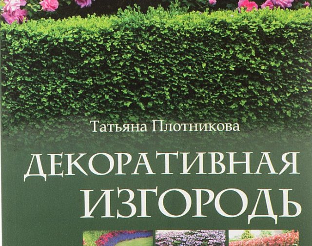 Декоративная изгородь, Татьяна Плотникова