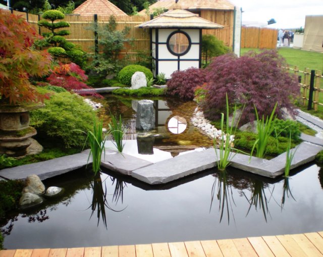 японский сад с прудом