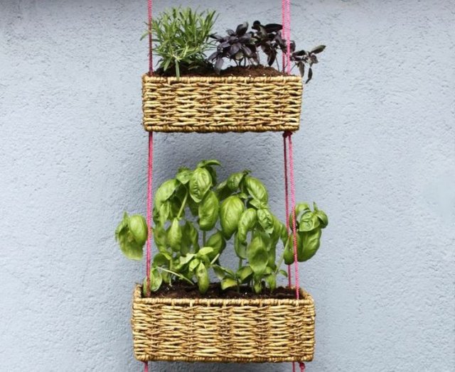 Hanging planter made from wicker baskets