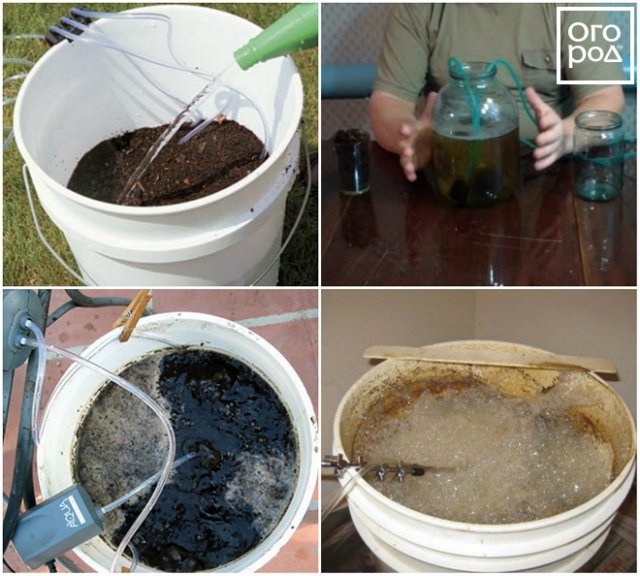 Как сделать компостный чай в домашних условиях