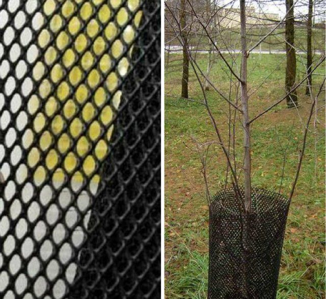 Такие сетки используют для защиты стволов деревьев от вредителей