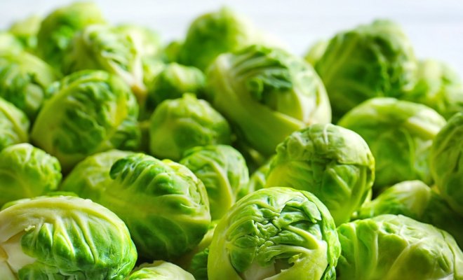 : Brussels sprouts background