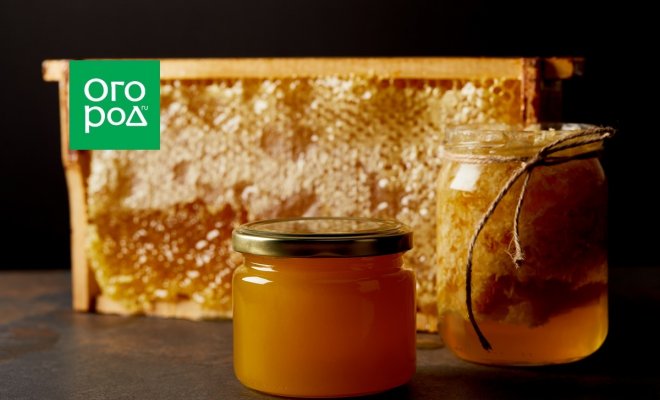 : рамка с медом и мед в банке