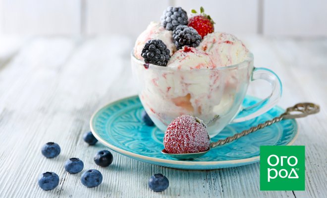 : Домашнее мороженое лучшие рецепты полезного и вкусного десерта