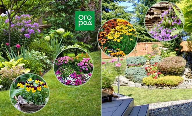 : идеальные цветовые решения для вашего сада