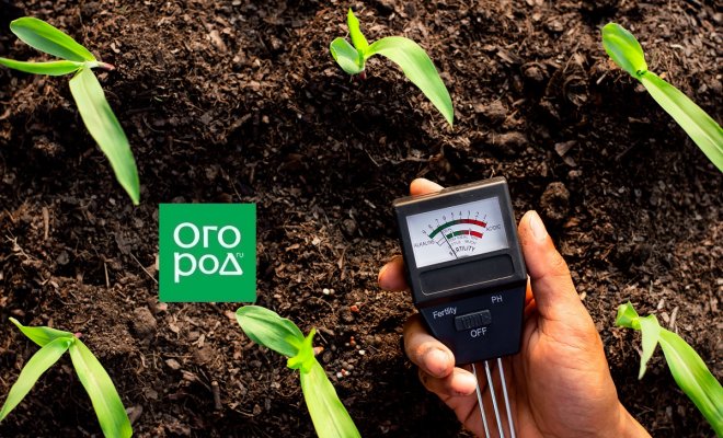 : измерение кислотность почвы