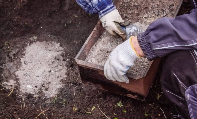 : Как раскислить почву на участке