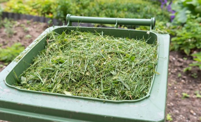 Садовые отходы и компост – виды удобрений и способы приготовления