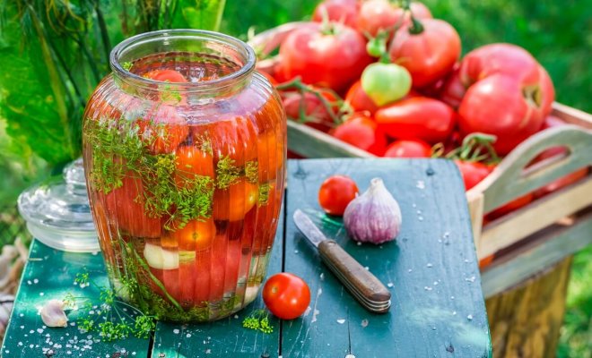 : Рецепты вкусных маринованных помидоров