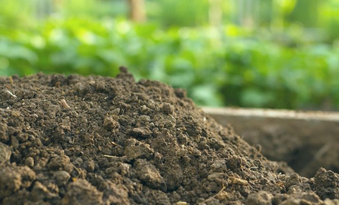 : Как определить и улучшить качество почвы на участке