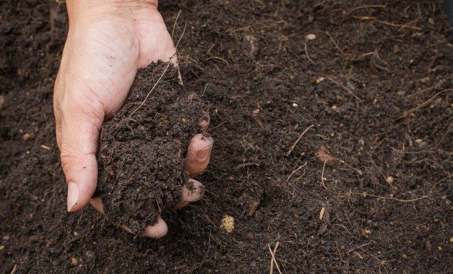 : Как улучшить почву на участке